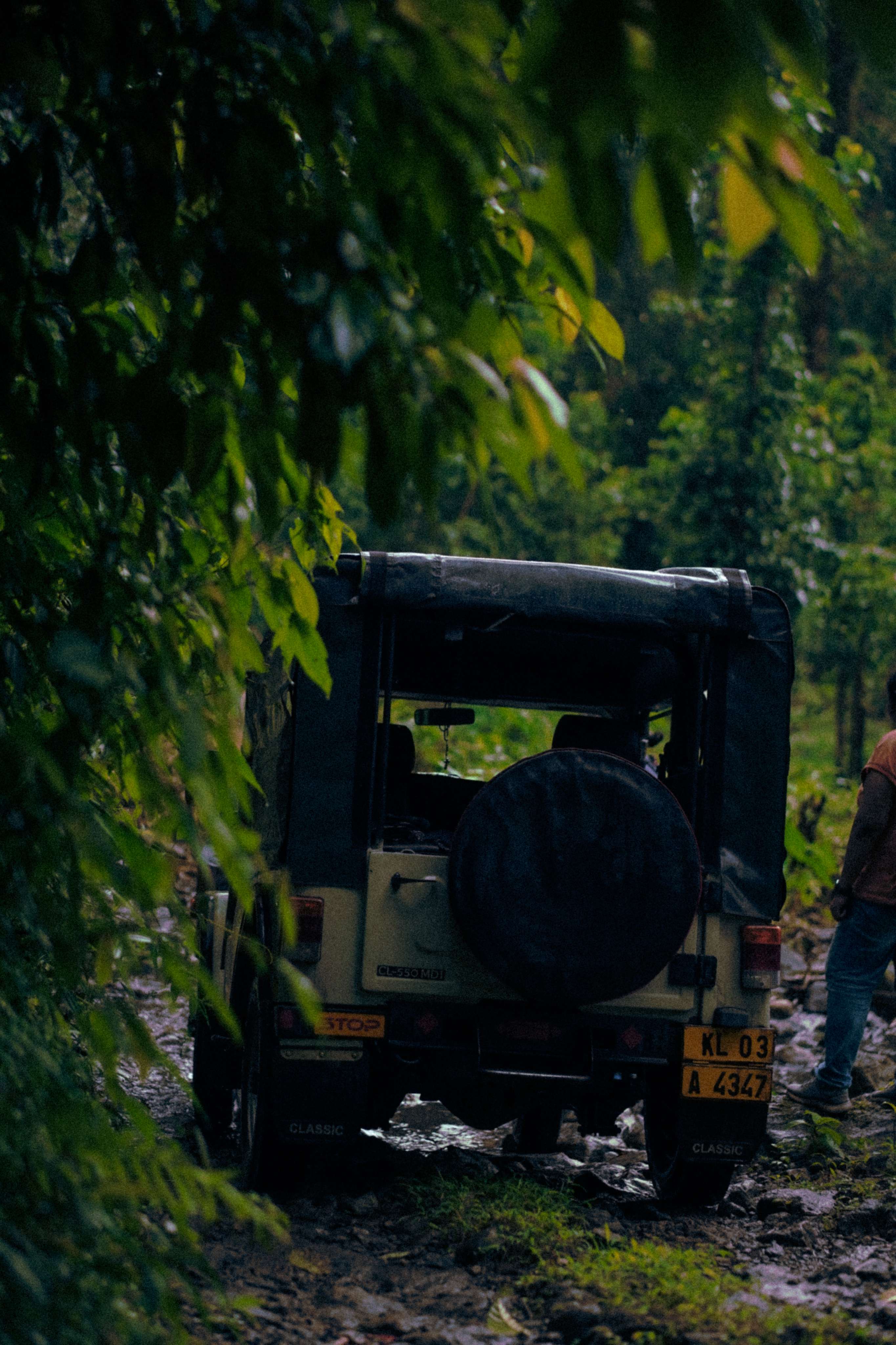 Offroad_Trekking