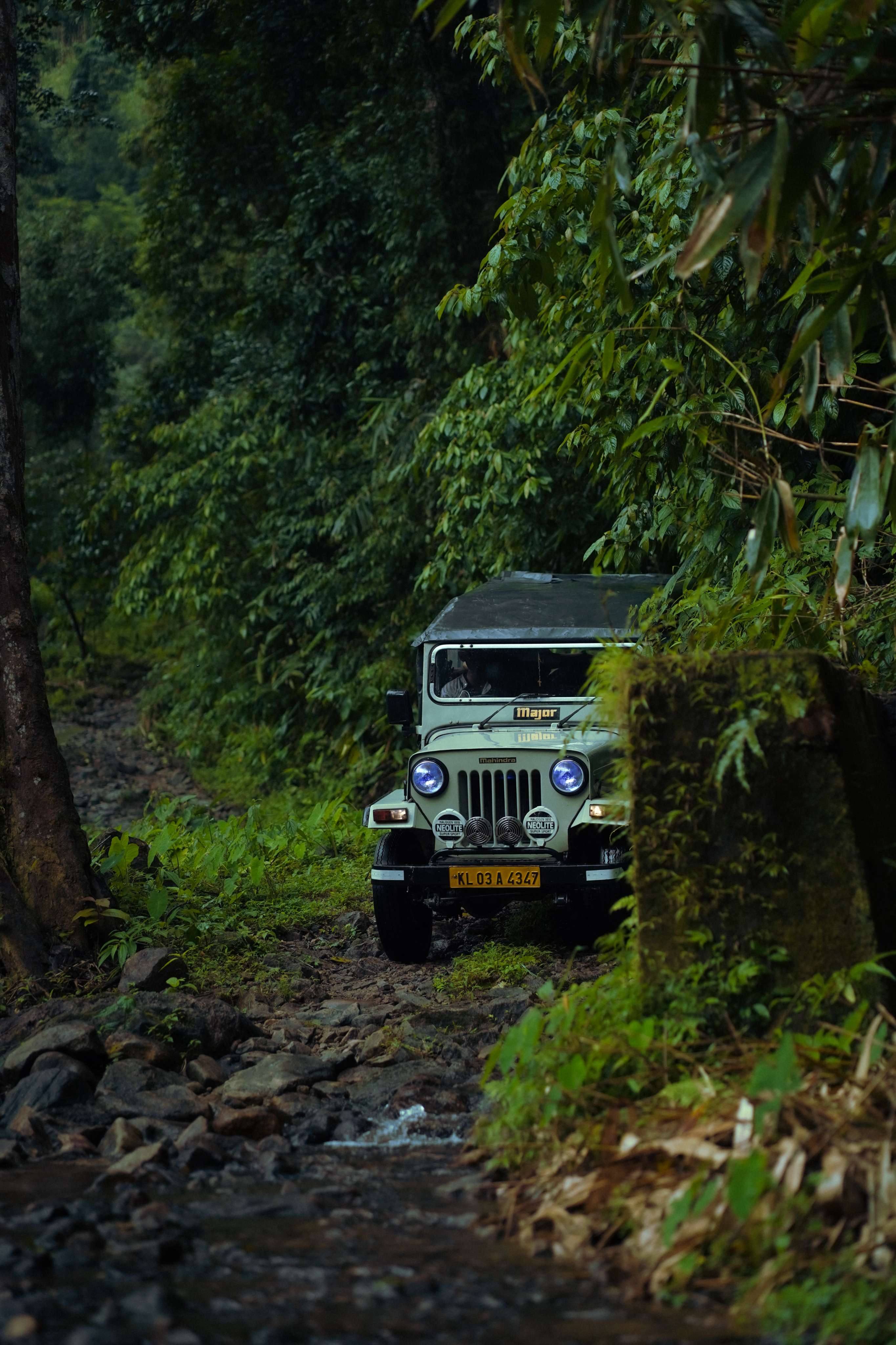 jeep_in_wild