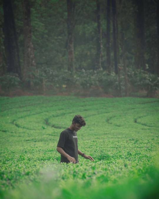 Mankulam