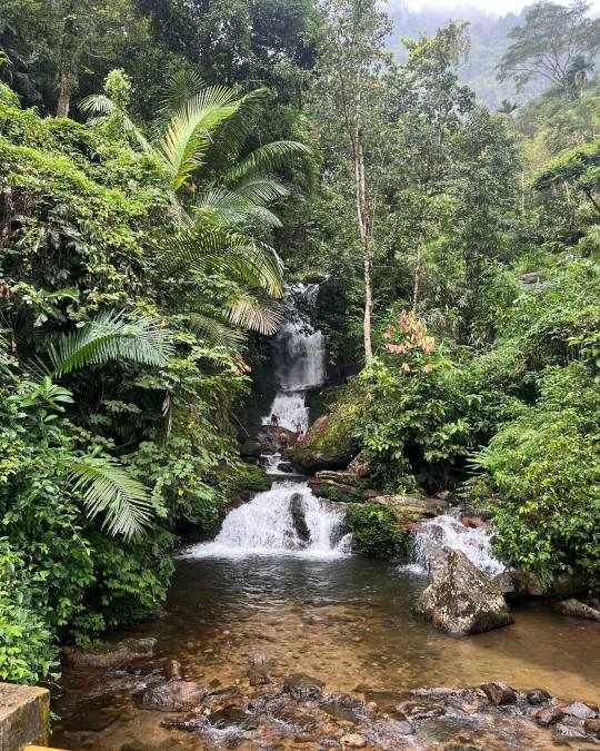 Mankulam